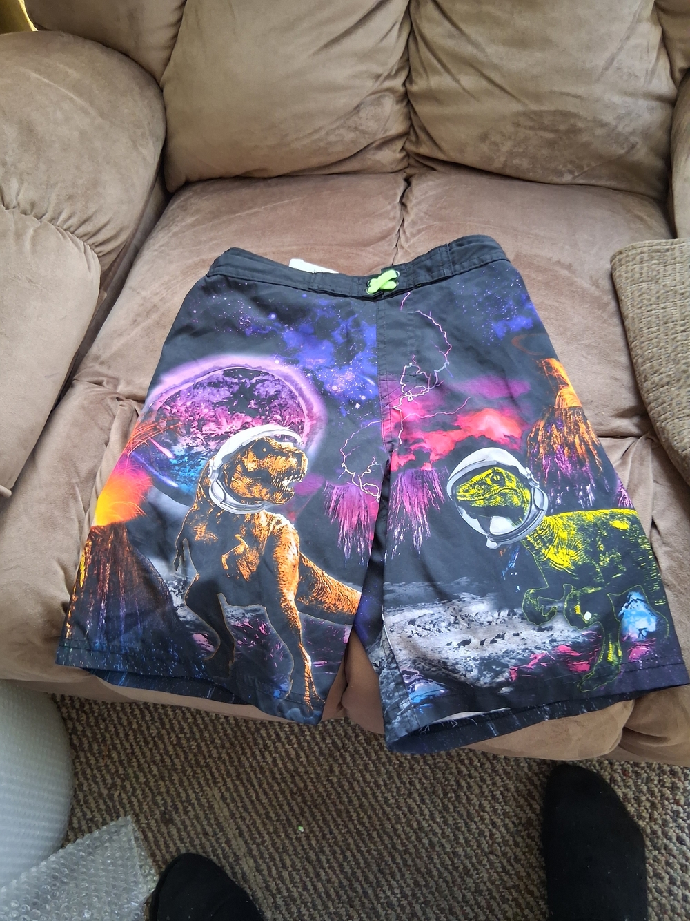 Size Large Swimtrunks With Dinasour Scene